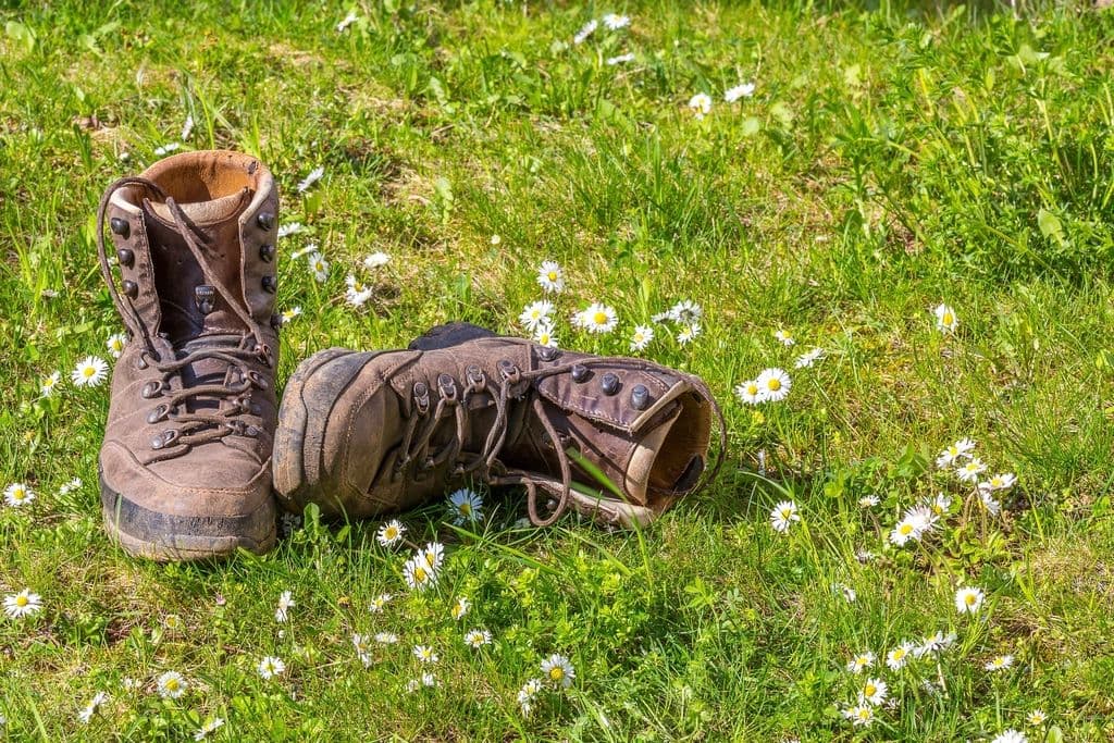 Thumbnail: Saddle-brown hiking boots resting in a meadow of white daisies