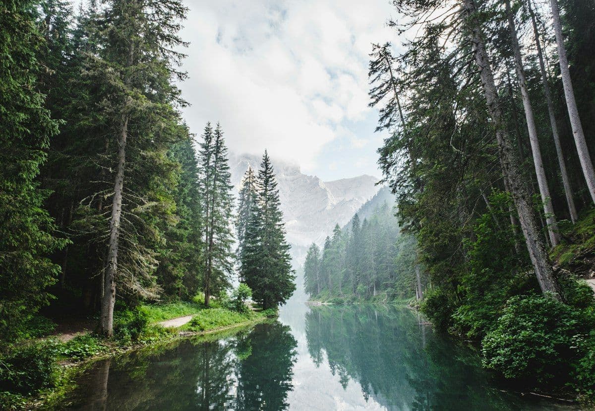 Still river reflecting tall evergreen trees and misty cliffs