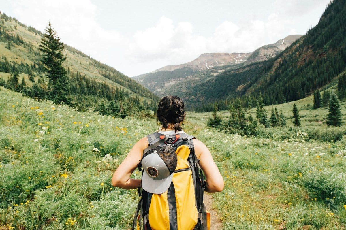 Hiker wearing a sunflower-yellow and grey Traverse pack in a green alpine meadow
