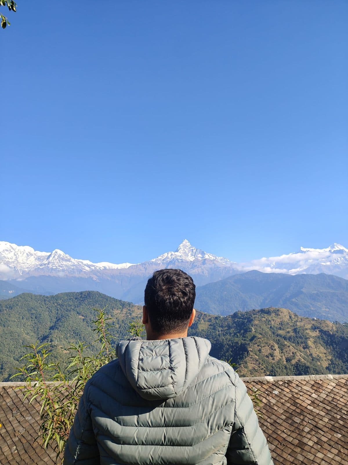 Ember Puffer Jacket, alternate view: Back view of a hiker in a lichen-green hooded puffer looking at snowy Himalayan peaks