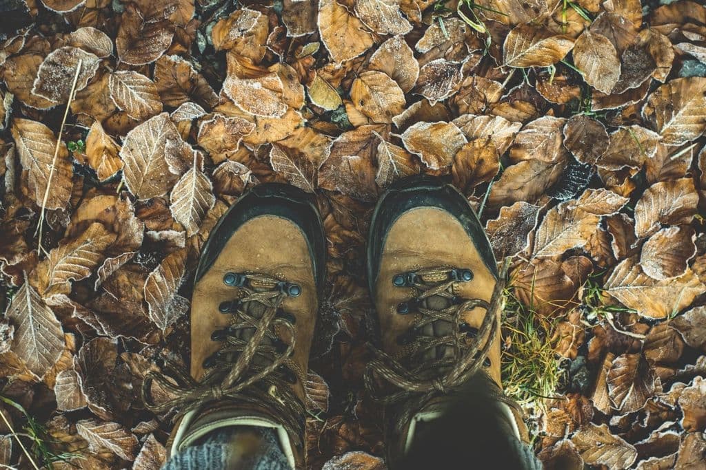 Talus Mid Hiker, alternate view: Looking down at worn tan hiking boots on a carpet of fallen autumn leaves