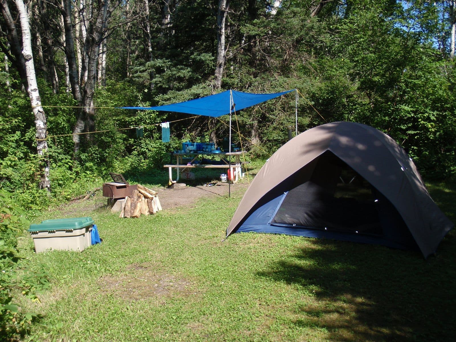 Driftwood-grey dome tent pitched on grass at a forest campsite under a blue tarp